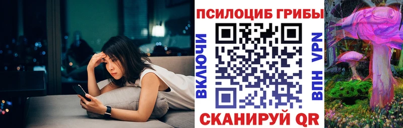 Псилоцибиновые грибы мицелий  Камень-на-Оби 