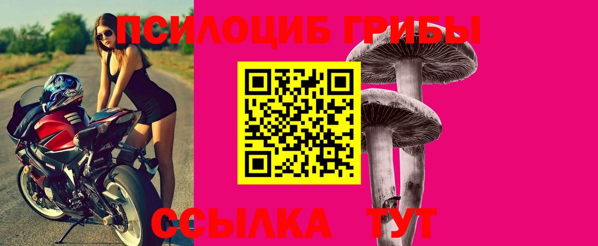 Камень-на-Оби  Галлюциногенные грибы ЛСД  Вход с VPN 