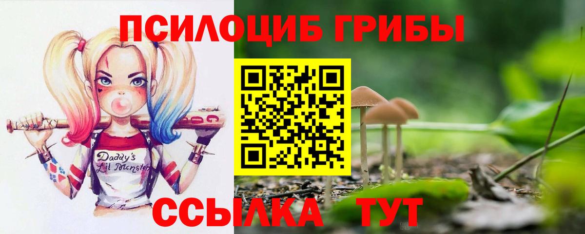 Галлюциногенные грибы GOLDEN TEACHER Камень-на-Оби